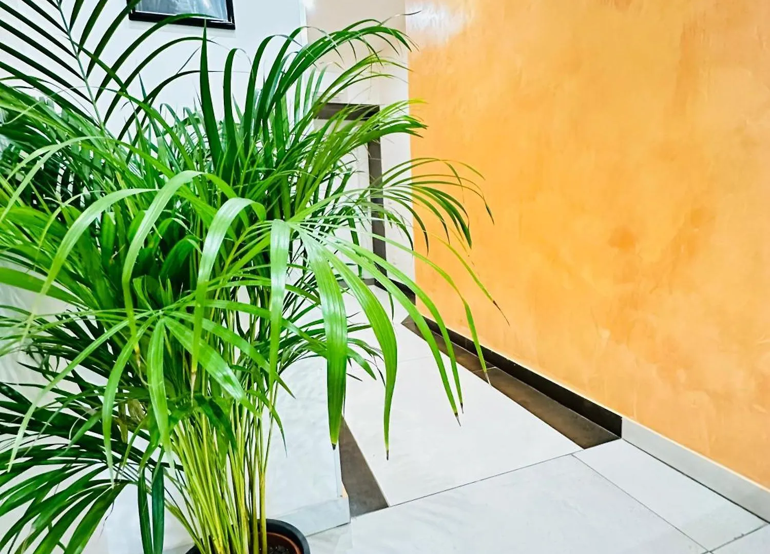 Guest house Dream Hub Hotel Mestre